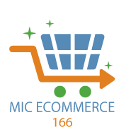 ecommerce166